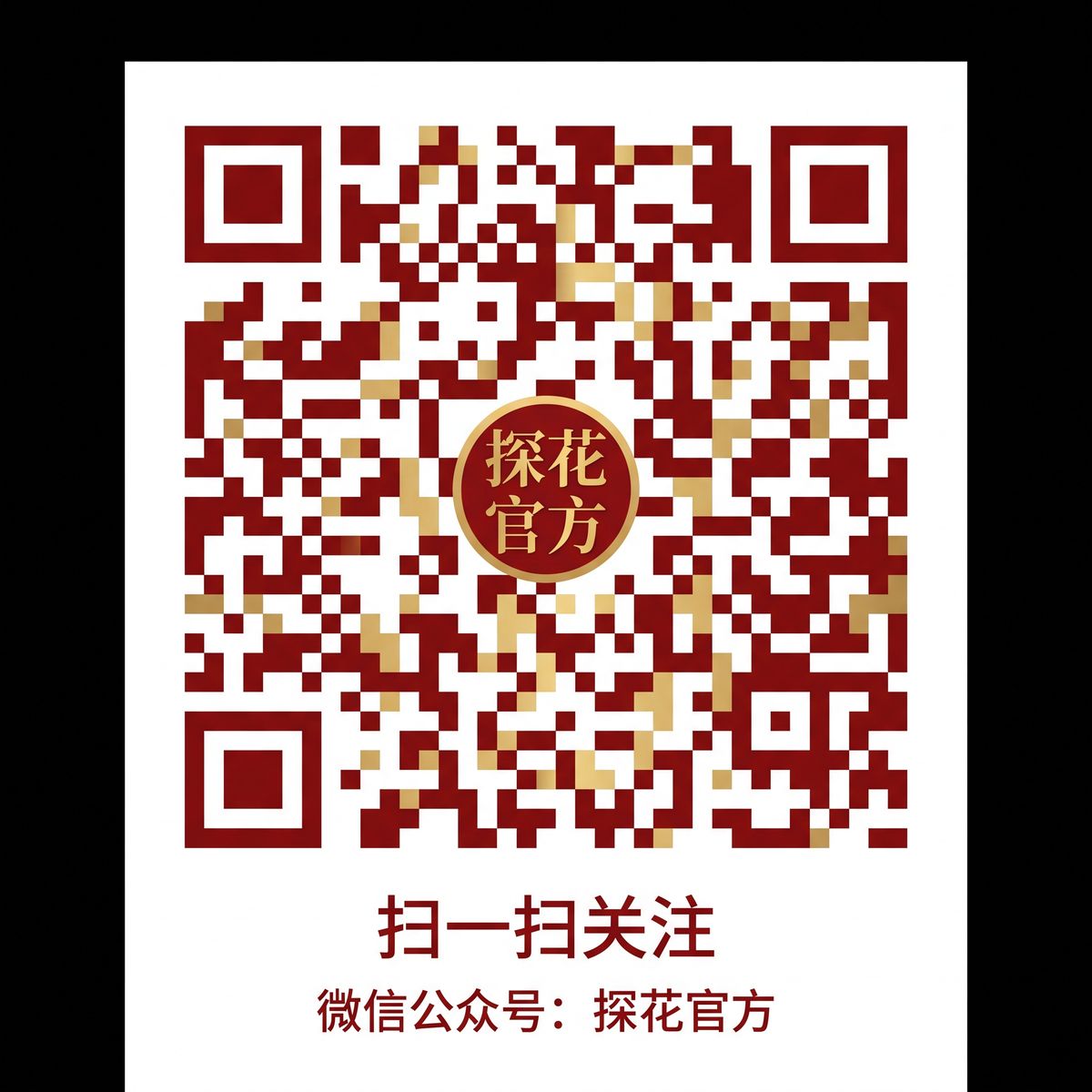 麻豆传媒公众号